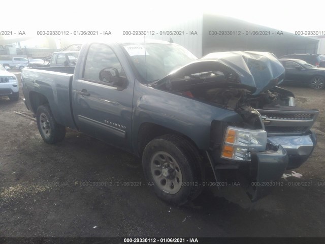 chevrolet silverado 1500 2010 1gcpcse03az199956