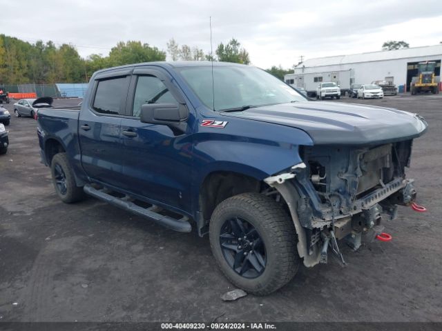 chevrolet silverado 2019 1gcpycef9kz300964