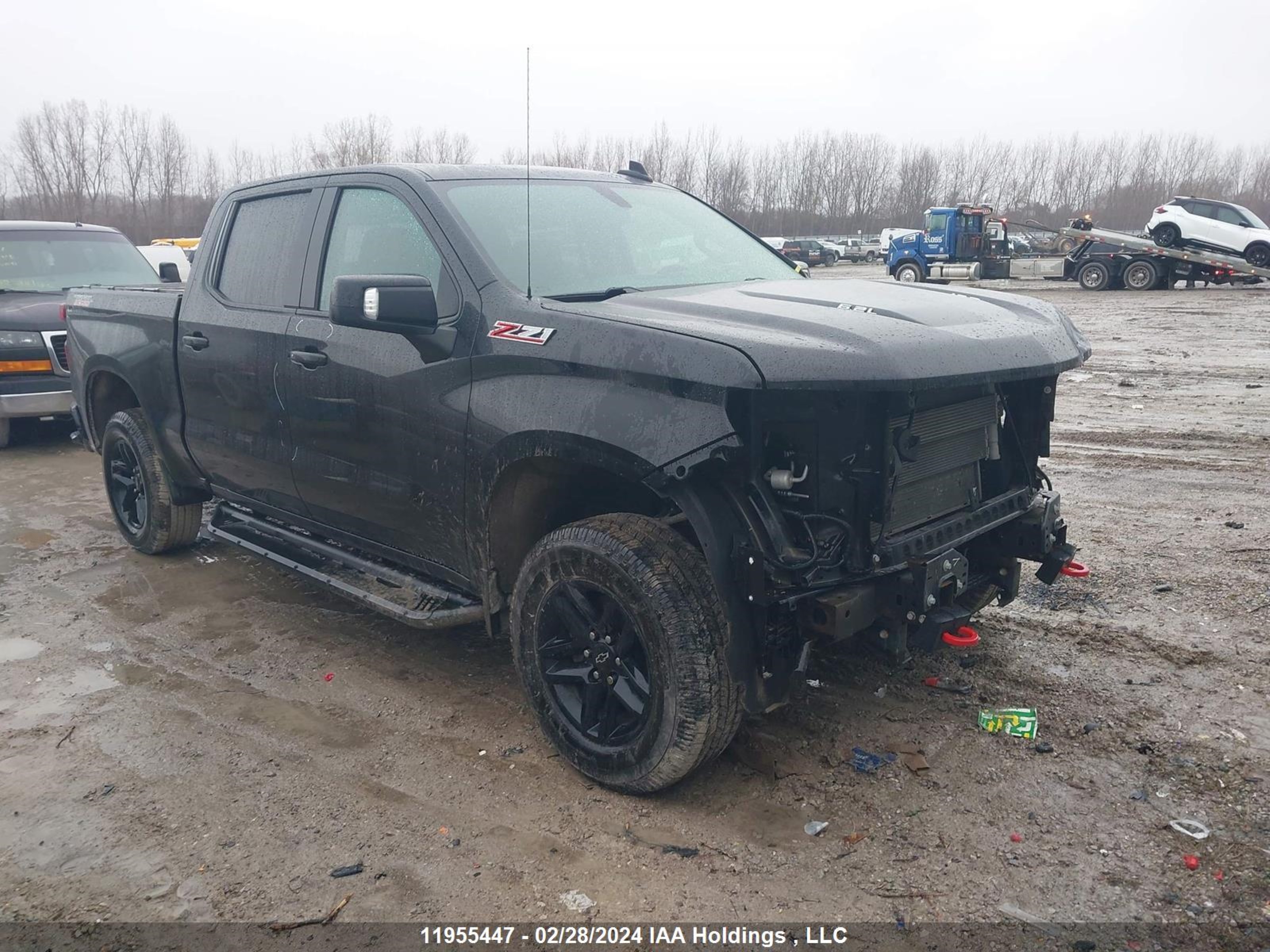 chevrolet silverado 2020 1gcpyfel6lz281508