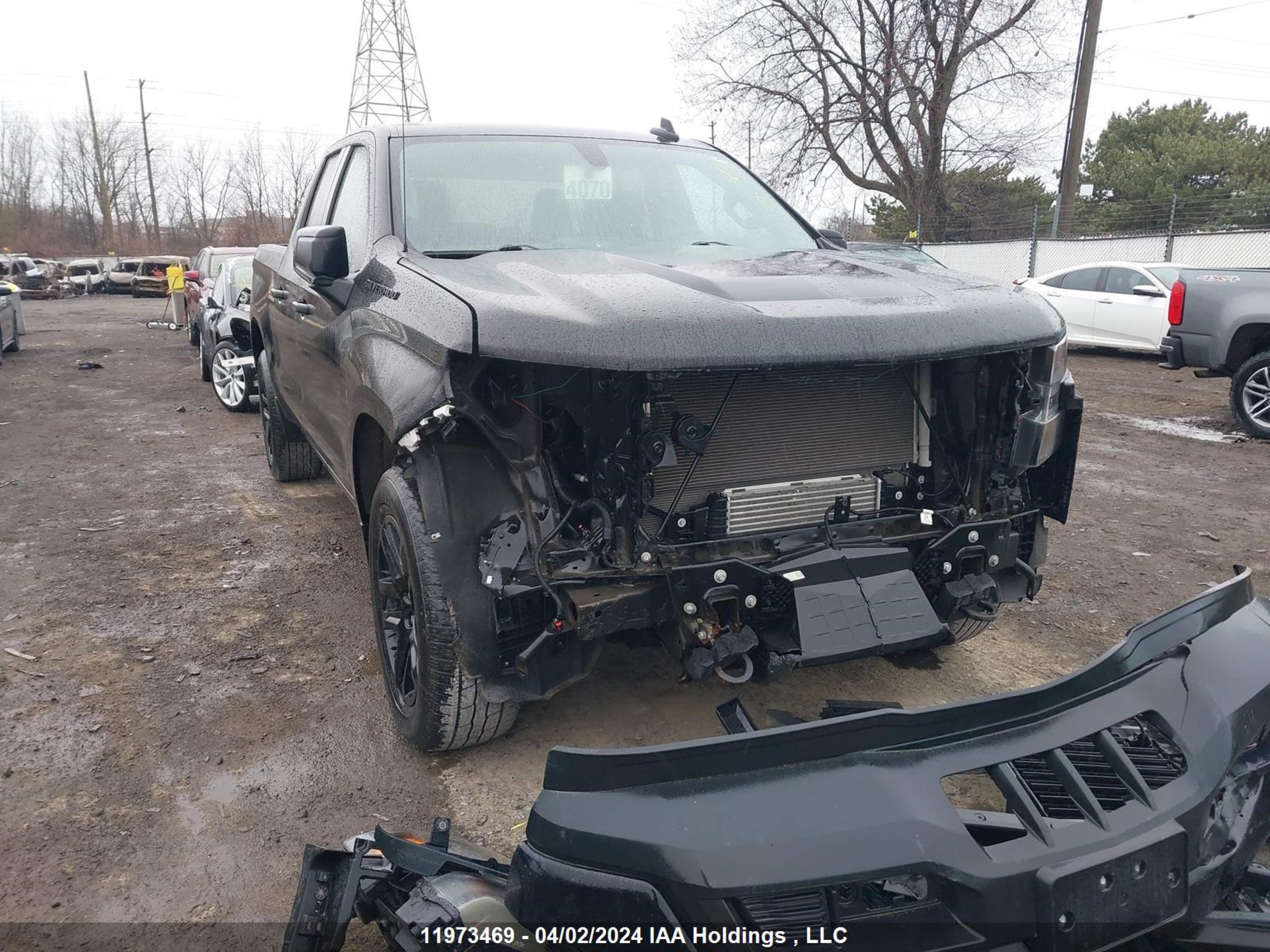 chevrolet silverado 2020 1gcrybek3lz274234