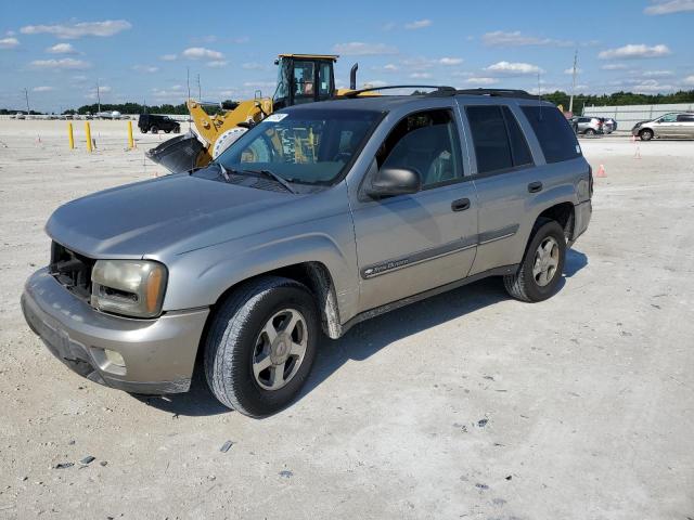 chevrolet trailblzr 2002 1gnds13s122106406