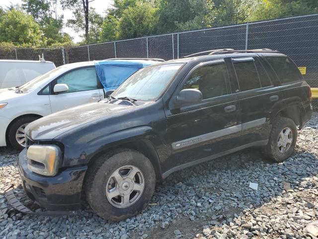 chevrolet trailblzr 2003 1gnds13s432121158