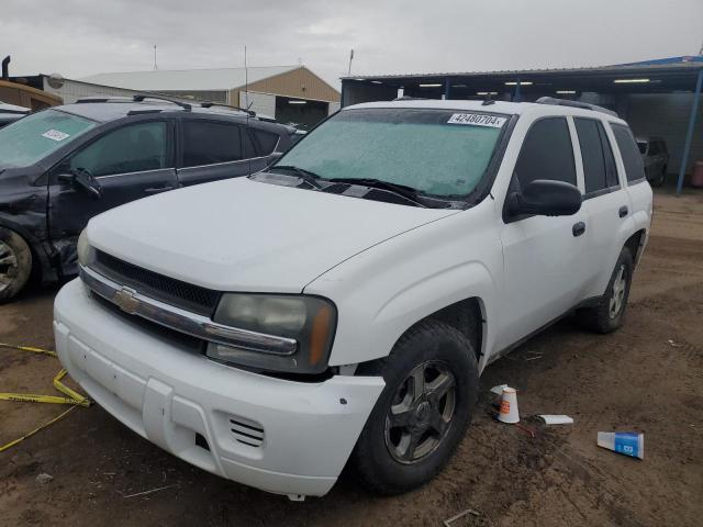 chevrolet trailblzr 2006 1gnds13s462256113