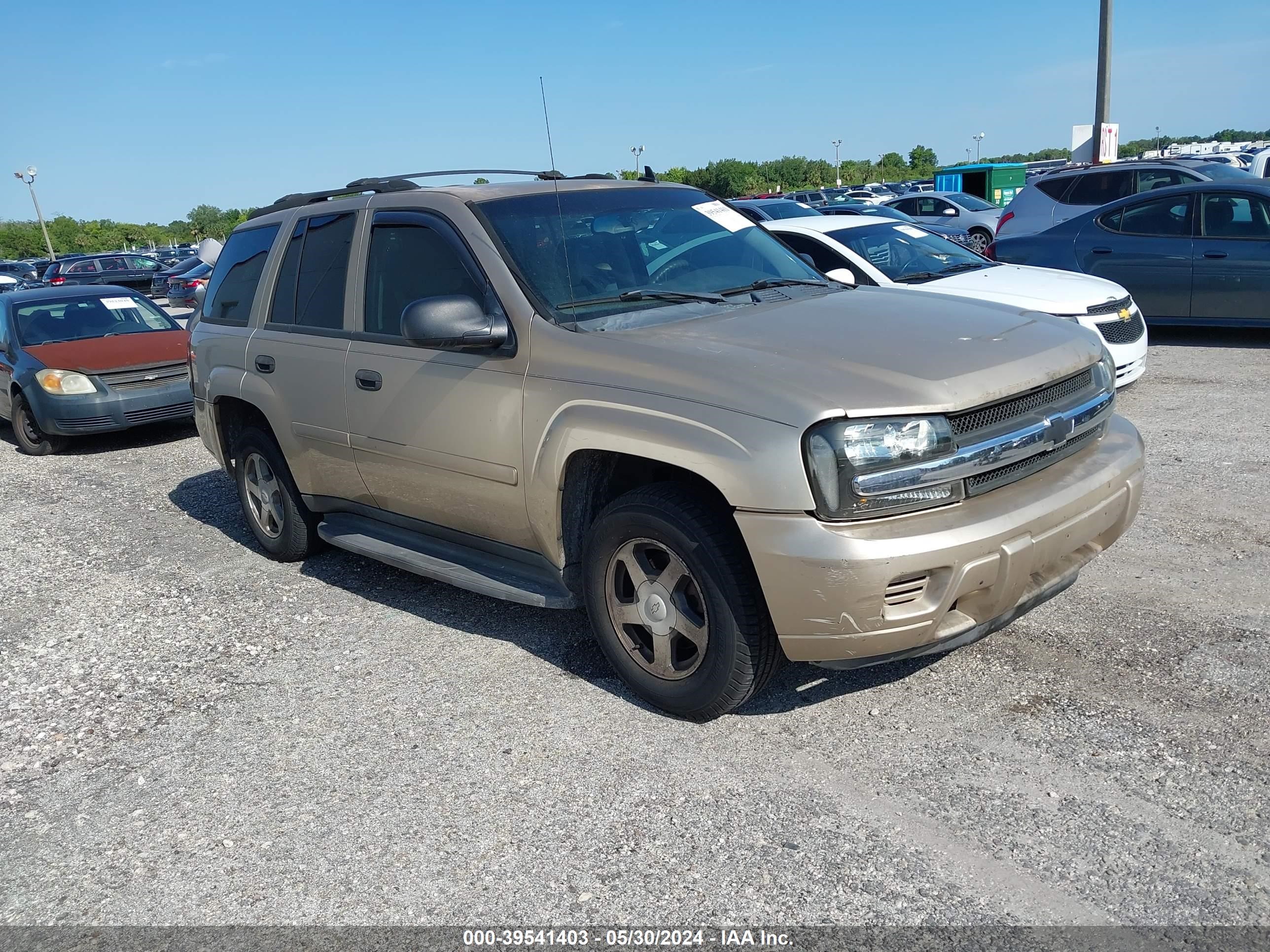 chevrolet trailblazer 2006 1gnds13s562238140