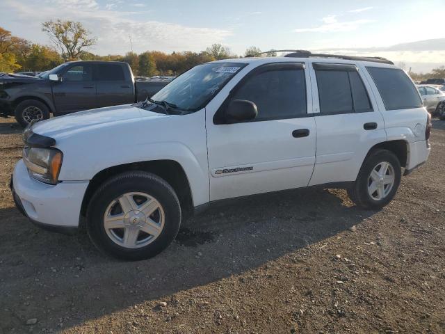 chevrolet trailblzr 2003 1gnds13sx32393391