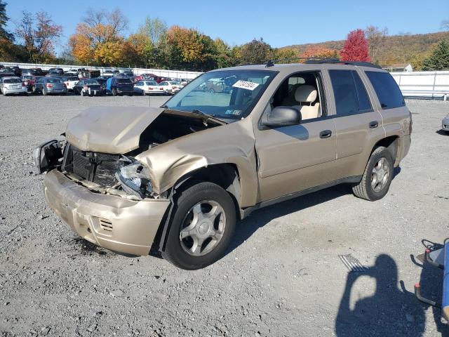 chevrolet trailblaze 2007 1gndt13s072267804