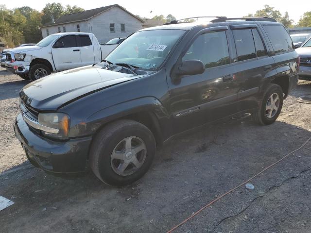 chevrolet trailblaze 2004 1gndt13s142275910