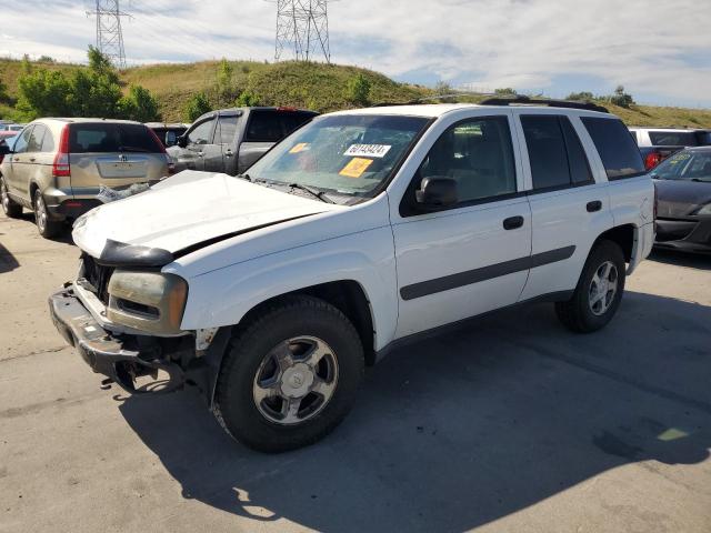 chevrolet trailblzr 2005 1gndt13s152376219