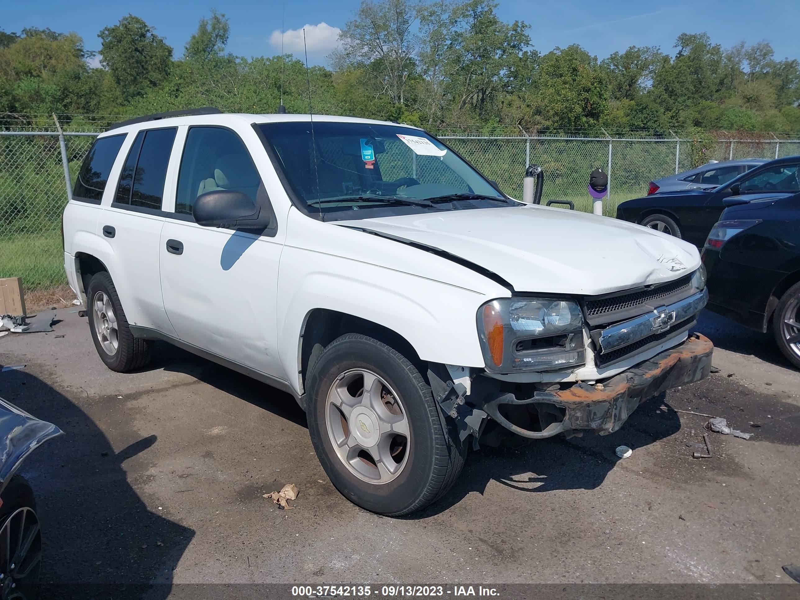 chevrolet trailblazer 2006 1gndt13s162109650