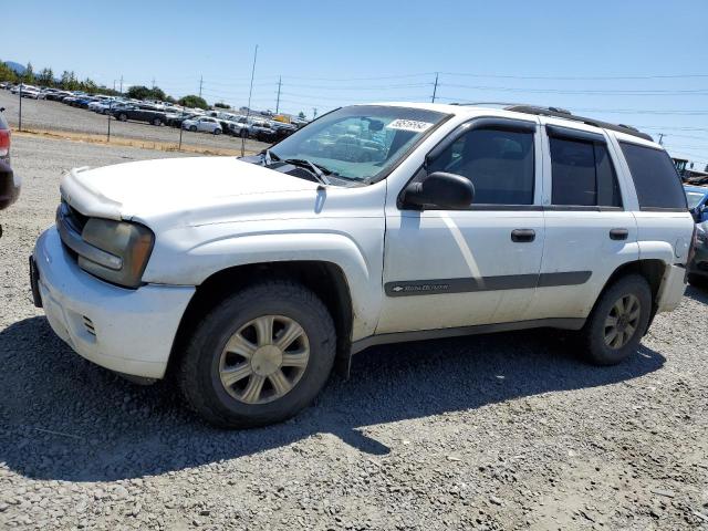 chevrolet trailblzr 2003 1gndt13s232188967