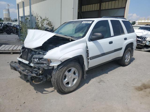 chevrolet trailblzr 2003 1gndt13s232273761