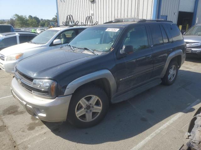 chevrolet trailblzr 2003 1gndt13s232294044