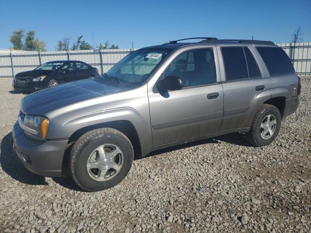 chevrolet trailblaze 2005 1gndt13s252350793