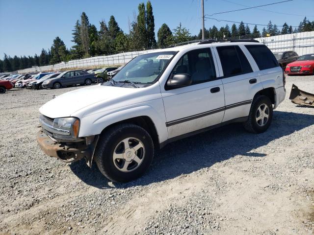 chevrolet trailblzr 2006 1gndt13s362119385