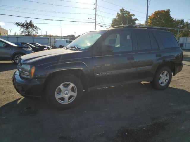 chevrolet trailblaze 2003 1gndt13s432194768