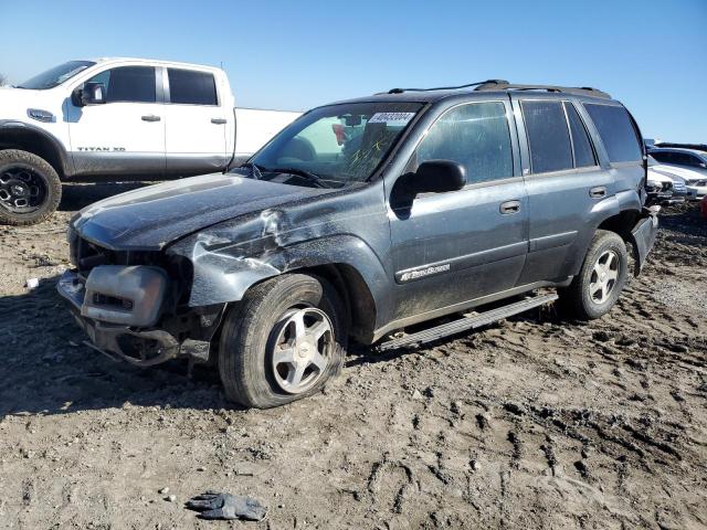 chevrolet trailblzr 2003 1gndt13s432246898