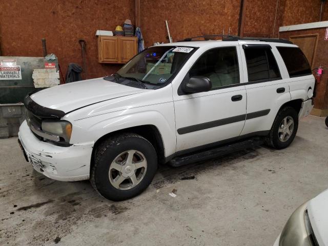 chevrolet trailblaze 2005 1gndt13s452303992