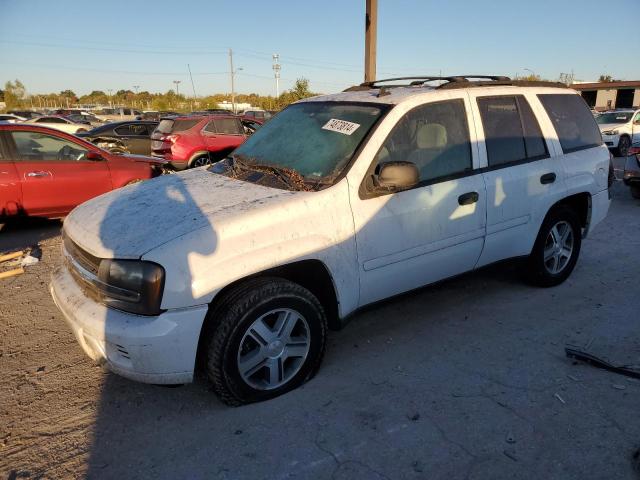 chevrolet trailblaze 2006 1gndt13s462141492