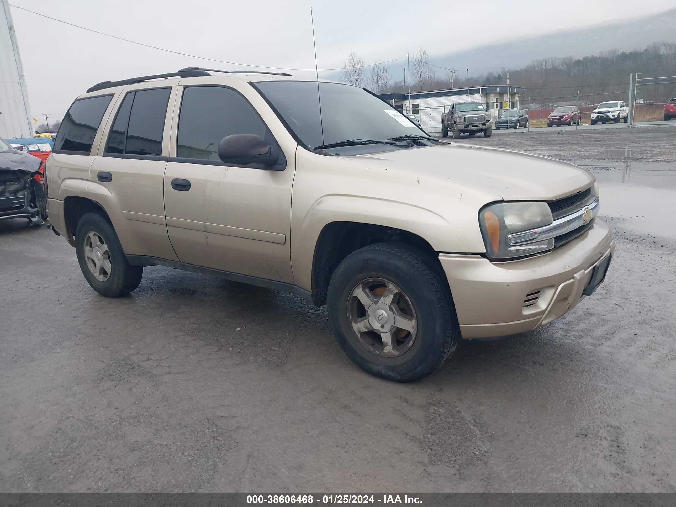 chevrolet trailblazer 2006 1gndt13s462239826