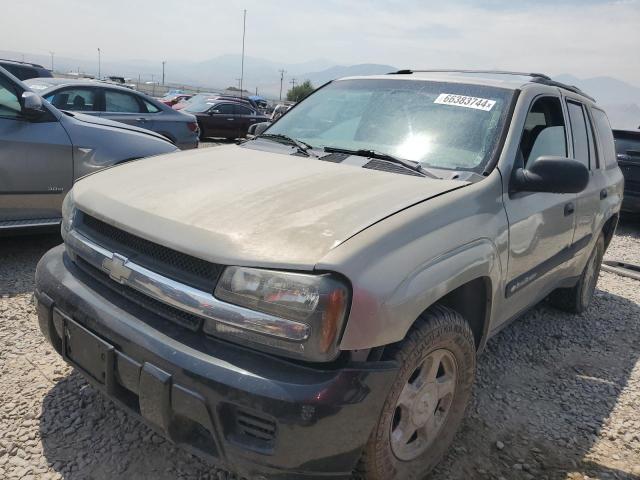 chevrolet trailblzr 2003 1gndt13s532114362