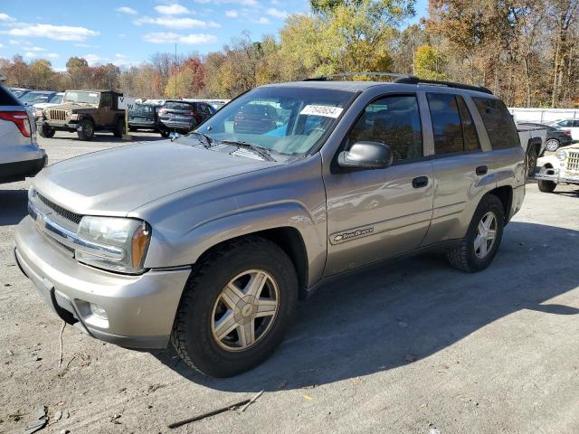 chevrolet trailblaze 2003 1gndt13s532392324