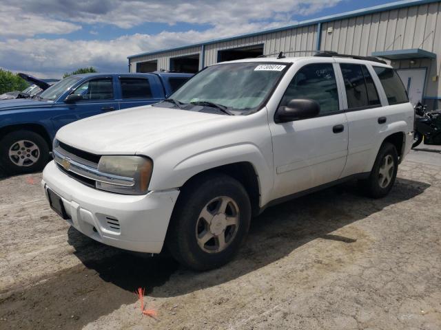 chevrolet trailblzr 2006 1gndt13s562184853