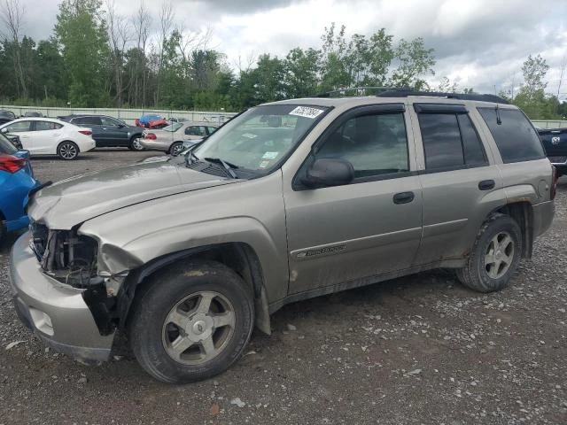 chevrolet trailblaze 2003 1gndt13s632224482