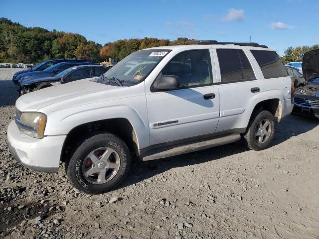 chevrolet trailblaze 2003 1gndt13s632268613