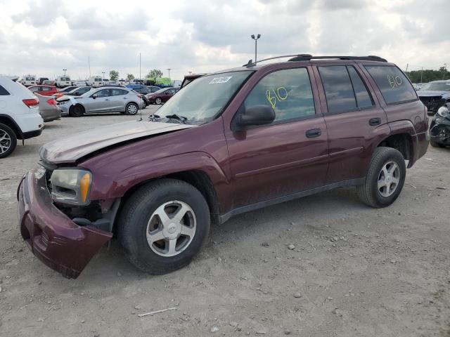 chevrolet trailblzr 2006 1gndt13s662309696