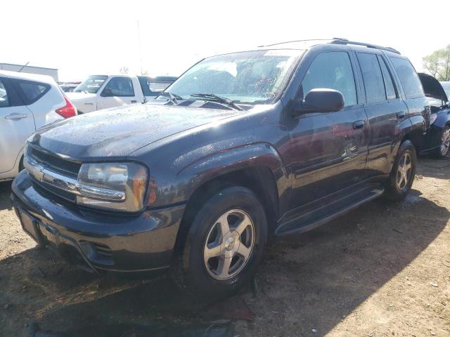 chevrolet trailblzr 2006 1gndt13s662313649