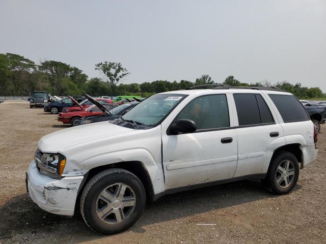 chevrolet trailblzr 2006 1gndt13s662334811