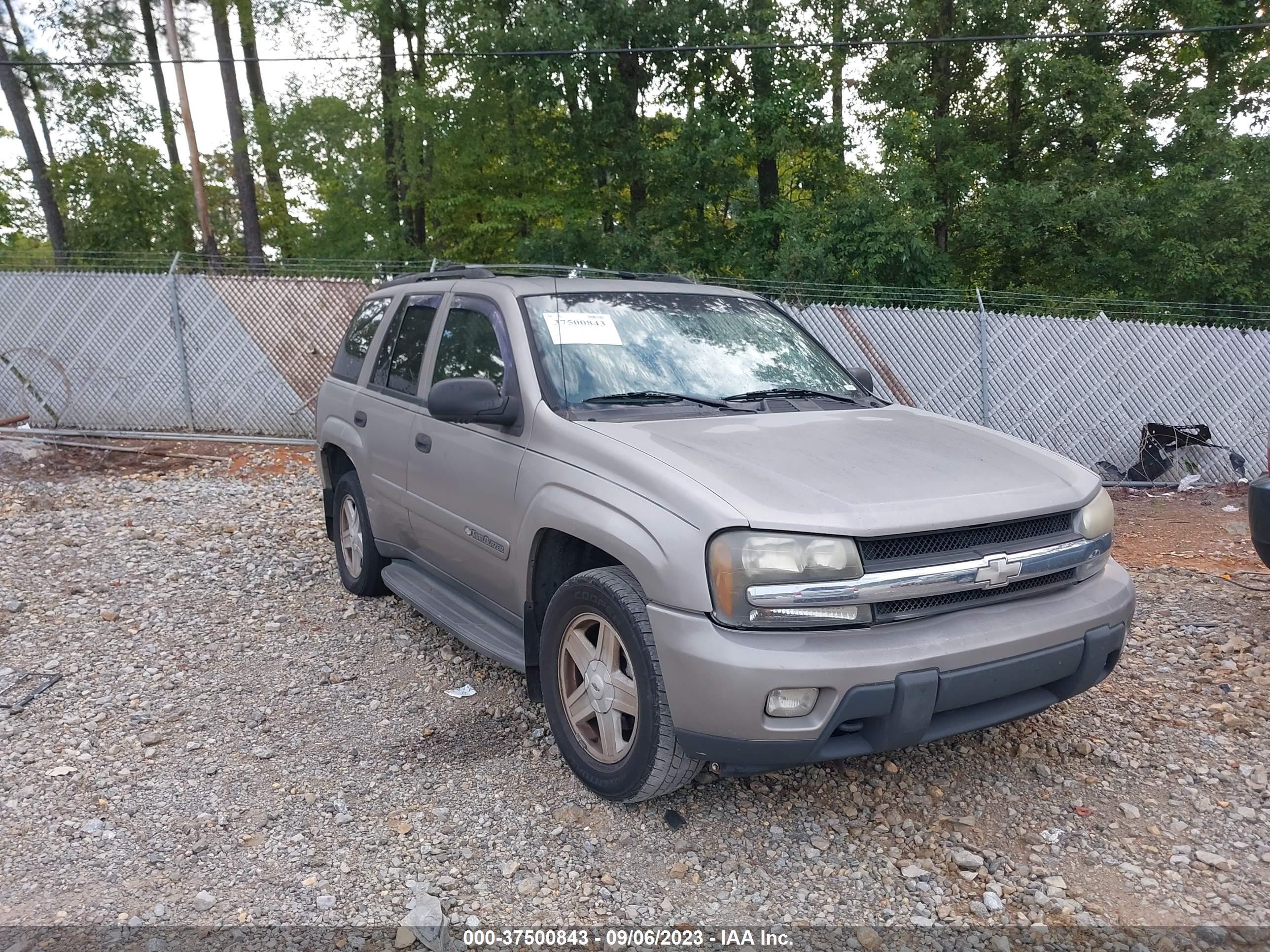 chevrolet trailblazer 2003 1gndt13s732402724