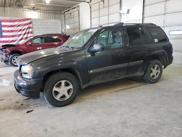 chevrolet trailblaze 2004 1gndt13s742394304