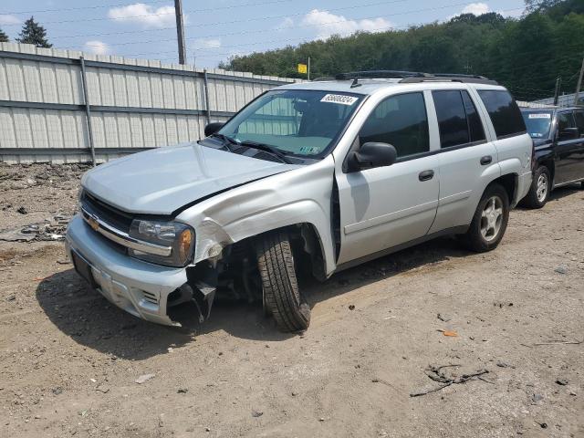 chevrolet trailblzr 2007 1gndt13s772124624