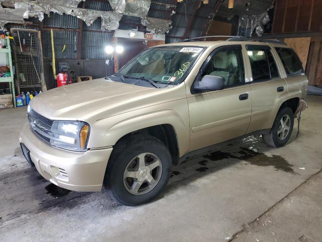 chevrolet trailblzr 2006 1gndt13s862147831