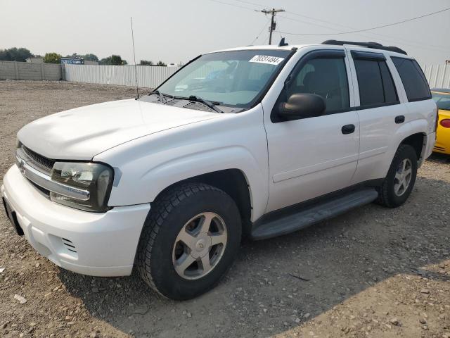 chevrolet trailblaze 2006 1gndt13s862226156