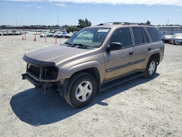 chevrolet trailblzr 2003 1gndt13s932101713