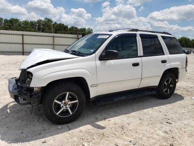 chevrolet trailblaze 2006 1gndt13s962112683