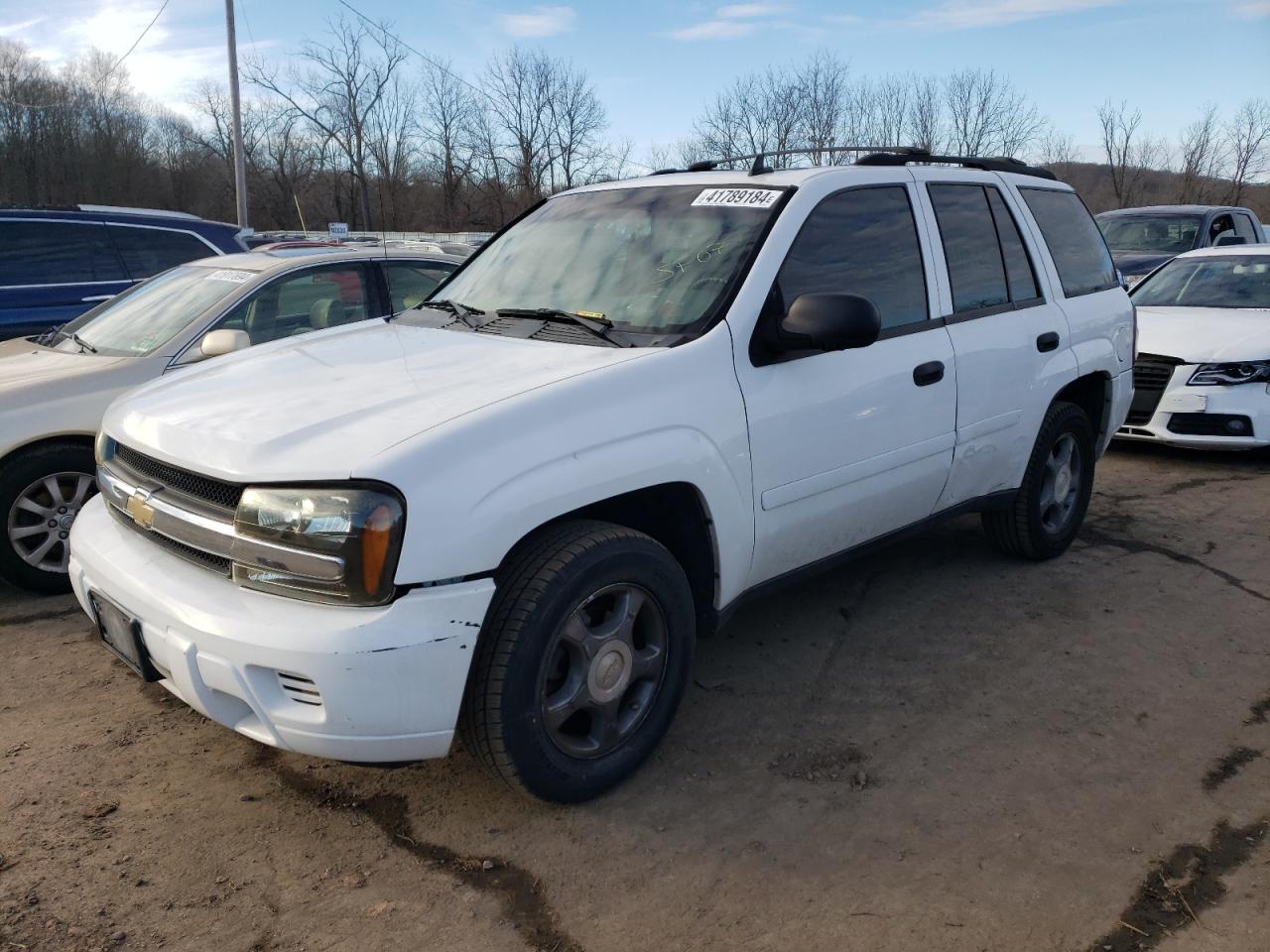 chevrolet trailblazer 2007 1gndt13s972100891