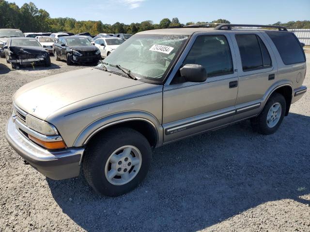 chevrolet blazer 1999 1gndt13w9x2220743