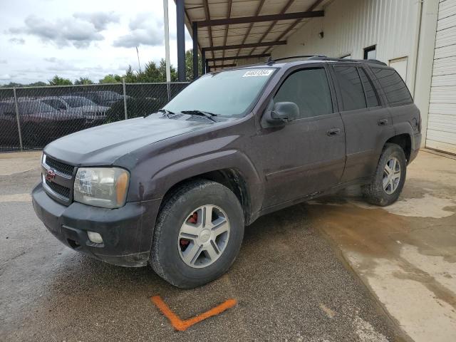 chevrolet trailblzr 2009 1gndt33s092114760