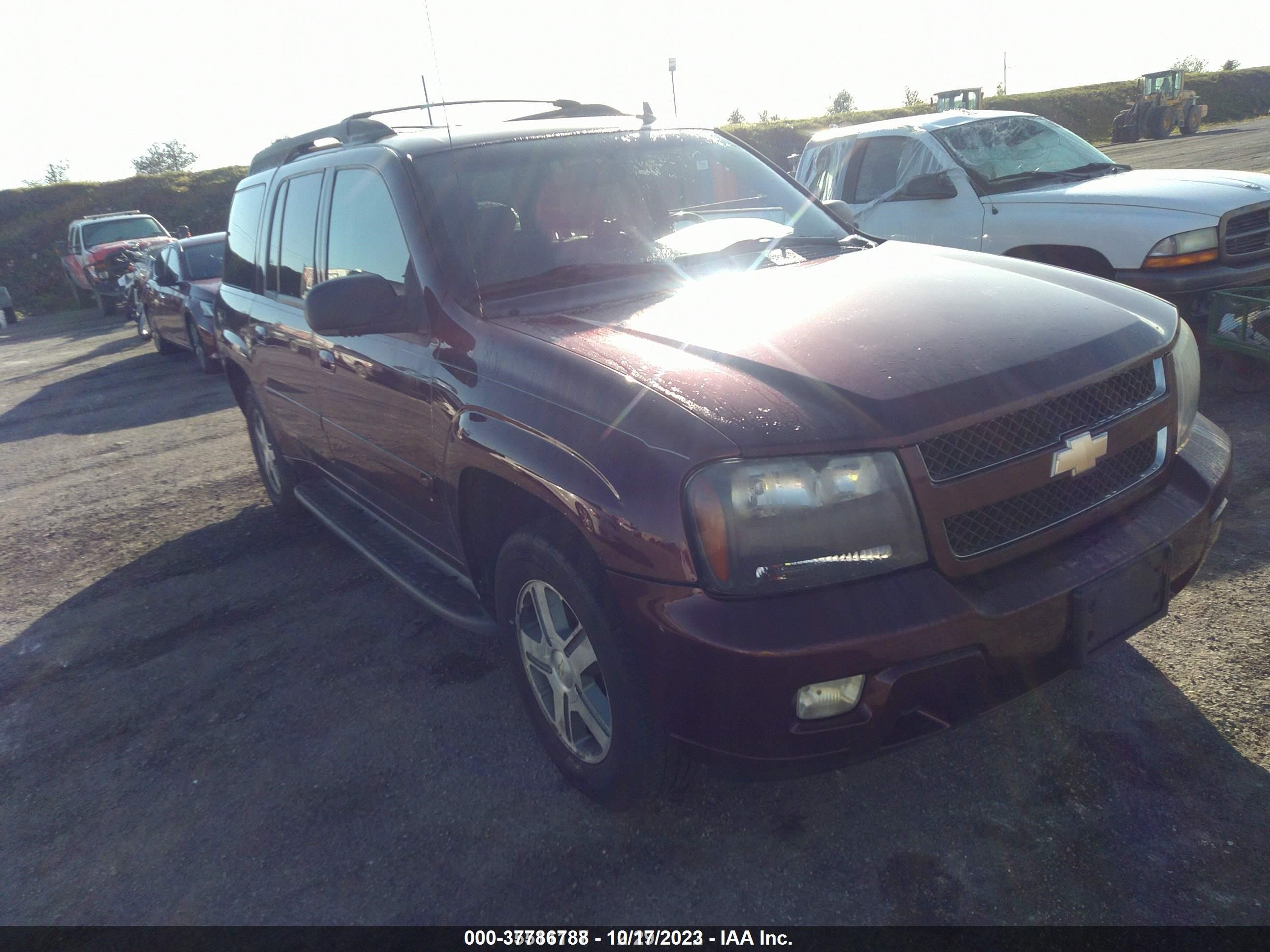 chevrolet trailblazer 2006 1gnet16s966120209