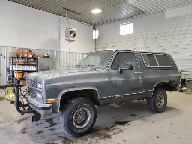 chevrolet blazer v10 1990 1gnev18k0lf158897