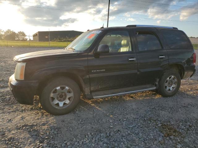 cadillac escalade l 2004 1gyek63n34r255473