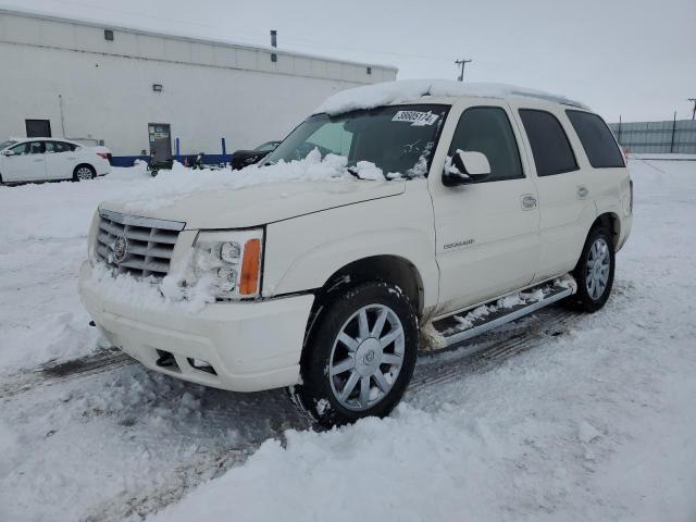 cadillac escalade 2005 1gyek63nx5r272949