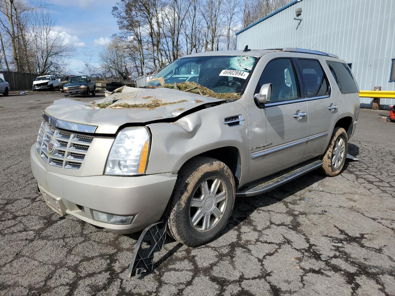 cadillac escalade 2009 1gyfk13229r250673