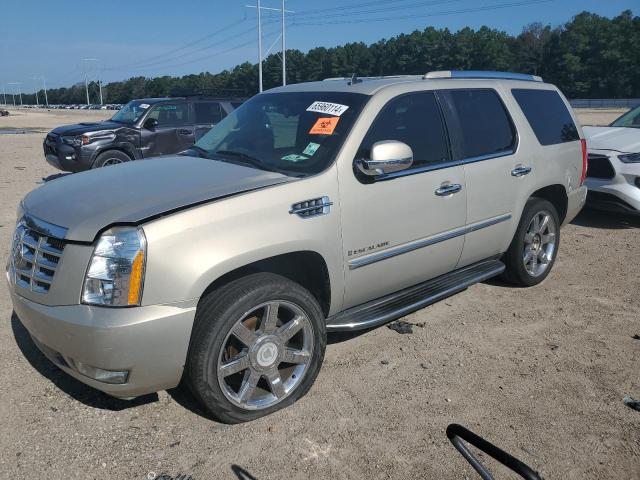 cadillac escalade 2009 1gyfk13269r248960