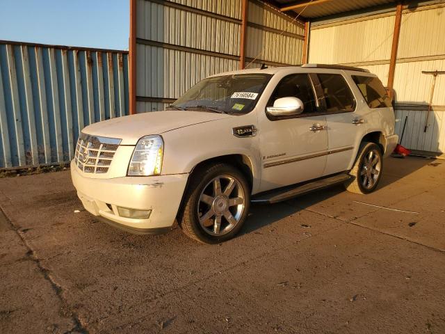 cadillac escalade h 2009 1gyfk43569r217445