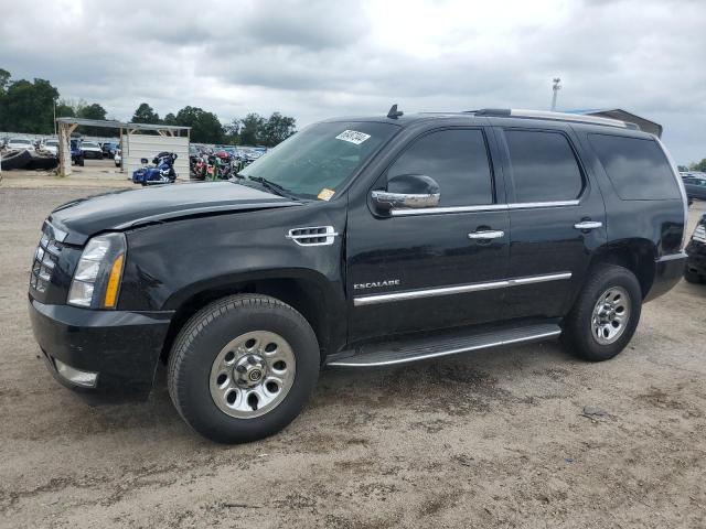 cadillac escalade 2011 1gys3aef7br373385