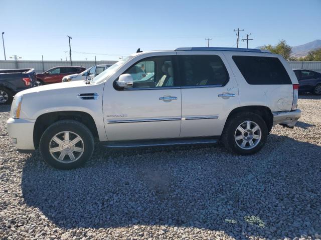 cadillac escalade 2013 1gys3aef9dr325454